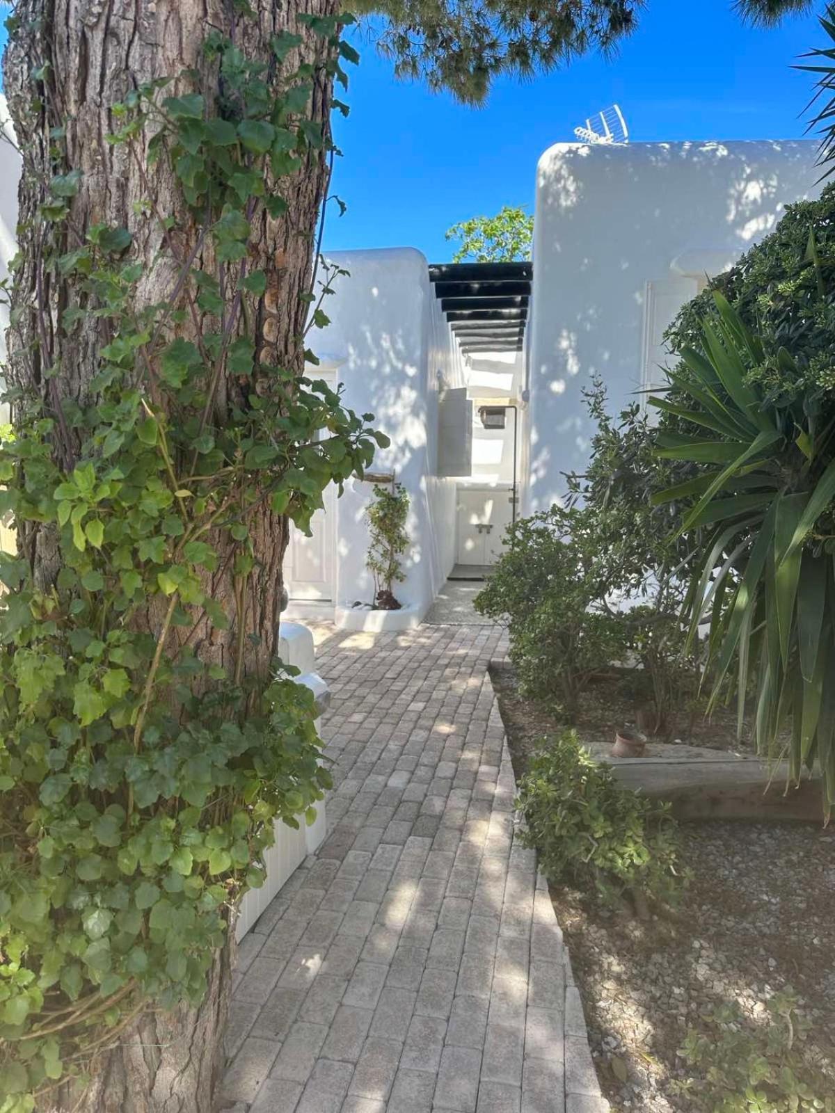 Villa Cassaris Mykonos Drafaki Exterior foto